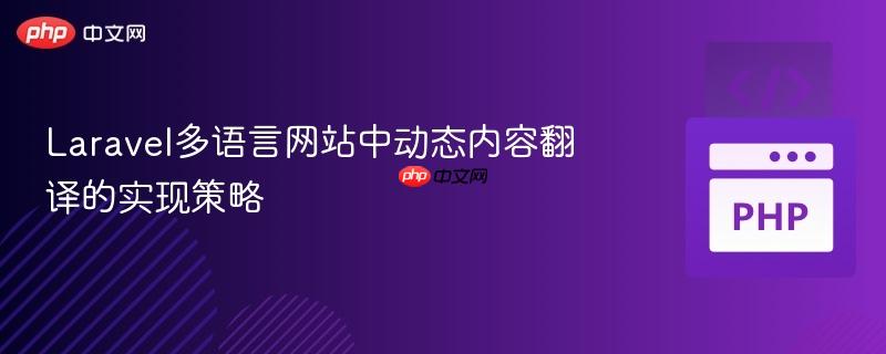 laravel多语言网站中动态内容翻译的实现策略