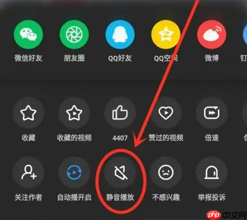 uc浏览器静音播放设置