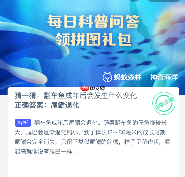 猜一猜：翻车鱼成年后会发生什么变化