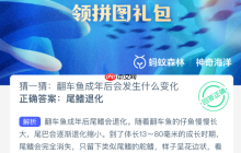 猜一猜：翻车鱼成年后会发生什么变化