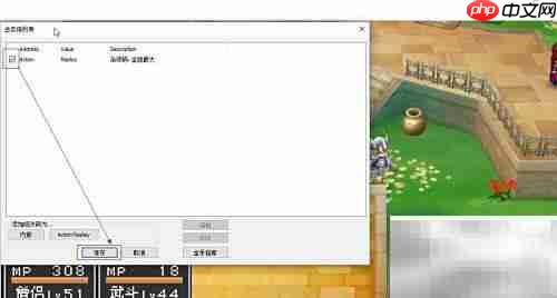 DeSmuME使用R4金手指教程