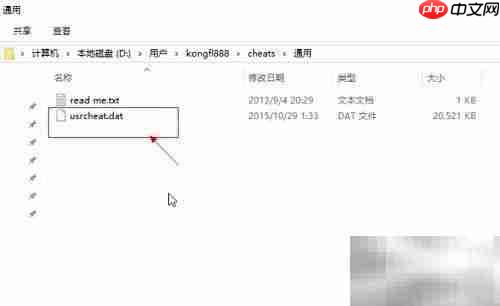 DeSmuME使用R4金手指教程