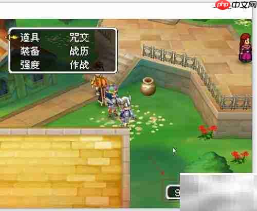 DeSmuME使用R4金手指教程