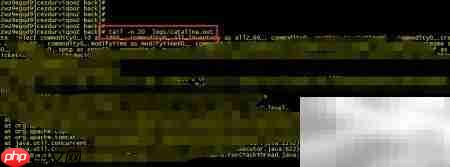 Linux常用命令速查