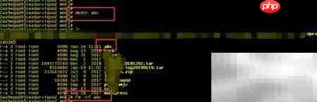 Linux常用命令速查