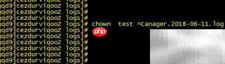 Linux常用命令速查