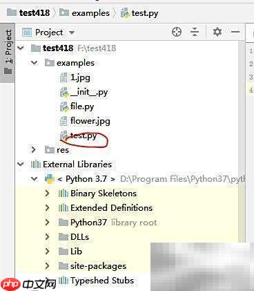 Python random模块常用函数速查