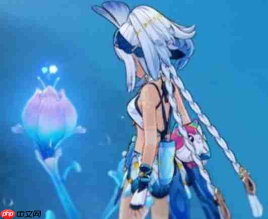 原神V5.8角色抽取建议