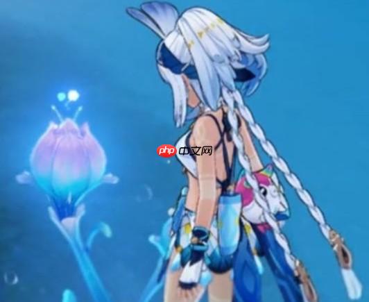 原神V5.8角色抽取建议