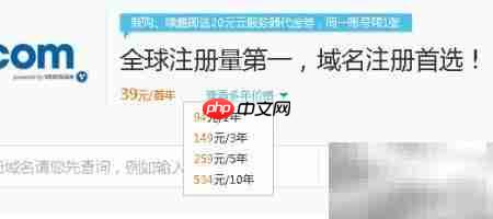 阿里云域名购买与租赁指南