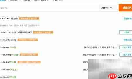 阿里云域名购买与租赁指南