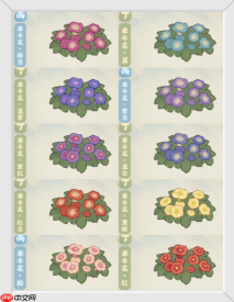 《桃源深处有人家》牵牛花育种配方大全