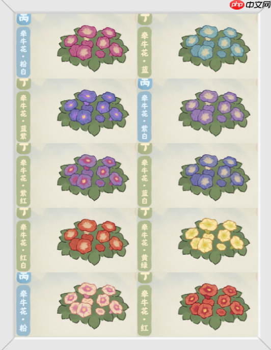 《桃源深处有人家》牵牛花育种配方大全