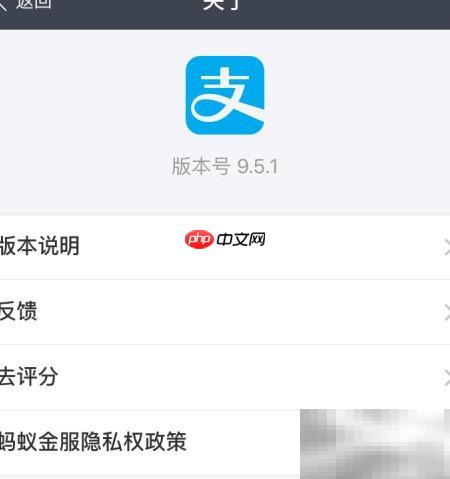 支付宝咻一咻红包攻略