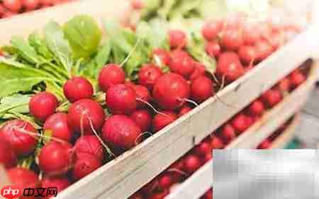 餐饮配送系统前景与优选推荐