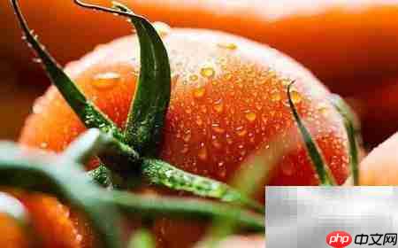 餐饮配送系统前景与优选推荐