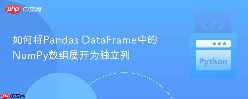 如何将Pandas DataFrame中的NumPy数组展开为独立列