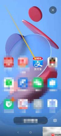 支付宝简体中文设置方法
