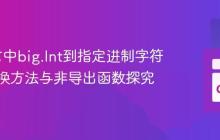 Go语言中big.Int到指定进制字符串的转换方法与非导出函数探究