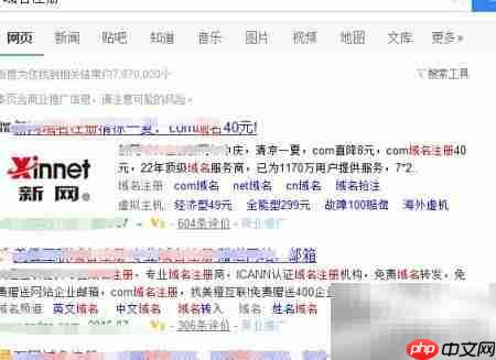 短域名VS长域名：如何选择