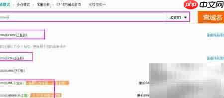 短域名VS长域名：如何选择