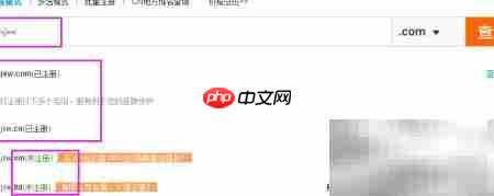 短域名VS长域名：如何选择