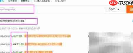 短域名VS长域名：如何选择