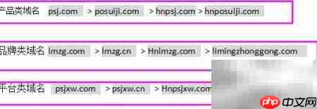 短域名VS长域名：如何选择