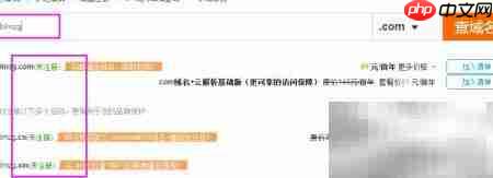 短域名VS长域名：如何选择