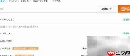 短域名VS长域名：如何选择