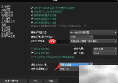 VSDC如何设置最近邻插值