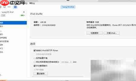 iPod Shuffle 4开启VoiceOver教程