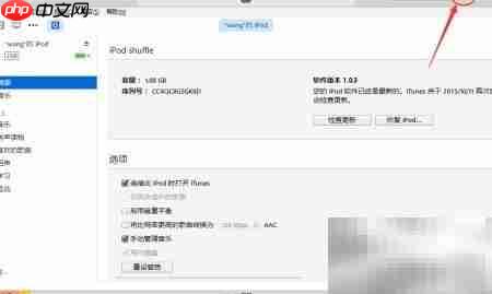 iPod Shuffle 4开启VoiceOver教程