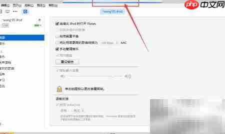 iPod Shuffle 4开启VoiceOver教程