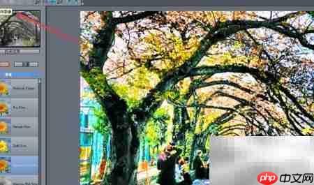 QuickDHR图片动态滤镜教程