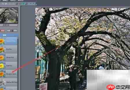 QuickDHR图片动态滤镜教程