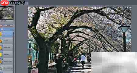 QuickDHR图片动态滤镜教程