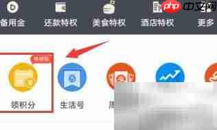 支付宝消费积分领取指南