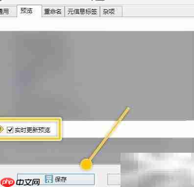 ReNamer实时预览设置技巧
