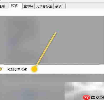 ReNamer实时预览设置技巧