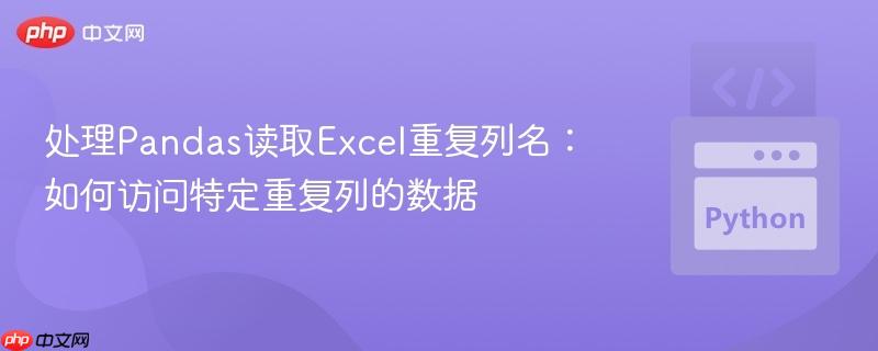 处理Pandas读取Excel重复列名：如何访问特定重复列的数据
