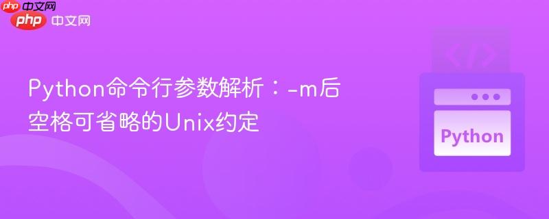 Python命令行参数解析：-m后空格可省略的Unix约定

