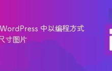 如何在 WordPress 中以编程方式上传多尺寸图片