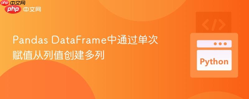 Pandas DataFrame中通过单次赋值从列值创建多列
