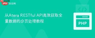 从Atera RESTful API高效获取全量数据的分页处理教程