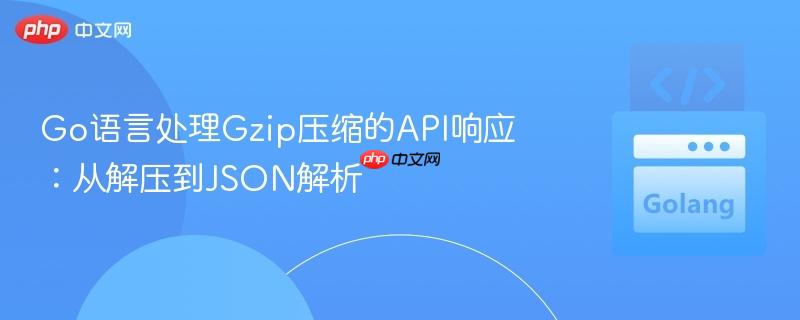 Go语言处理Gzip压缩的API响应：从解压到JSON解析
