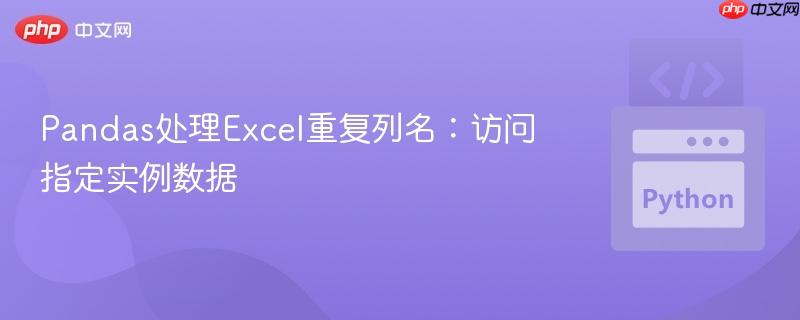 Pandas处理Excel重复列名:访问指定实例数据
