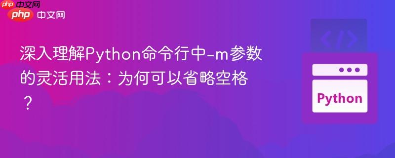 深入理解Python命令行中-m参数的灵活用法：为何可以省略空格？
