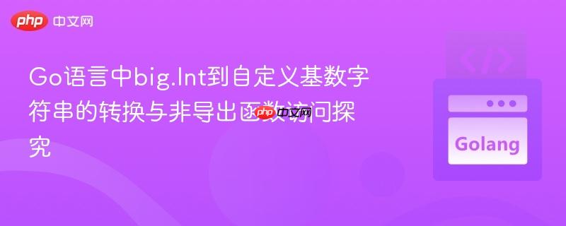 Go语言中big.Int到自定义基数字符串的转换与非导出函数访问探究
