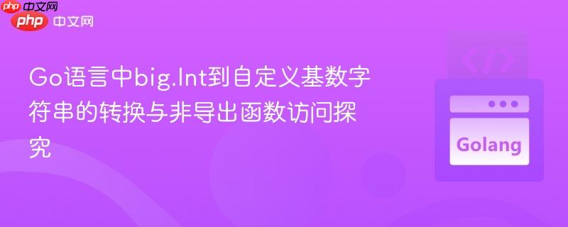 Go语言中big.Int到自定义基数字符串的转换与非导出函数访问探究